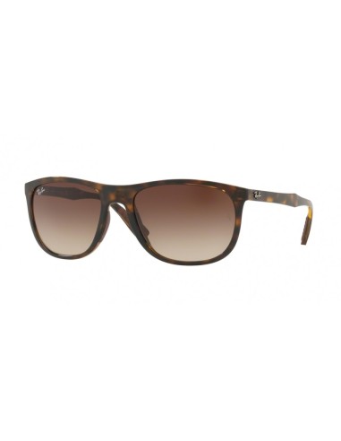 Ray-Ban 4291 Sunglasses 2023