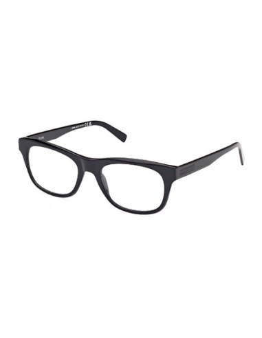 ZEGNA 5283 Eyeglasses en linge