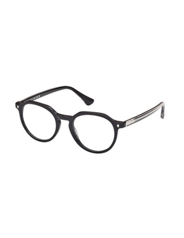 WEB 5427 Eyeglasses 2024