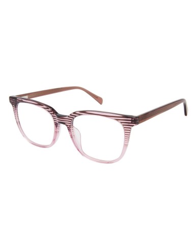 Wildflower WIL-OLEANDER Eyeglasses Comment ça marche