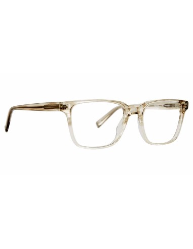 Trina Turk TTARLI Eyeglasses 2023