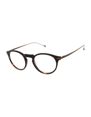 Minamoto MO31032 Eyeglasses Dans la société mordern