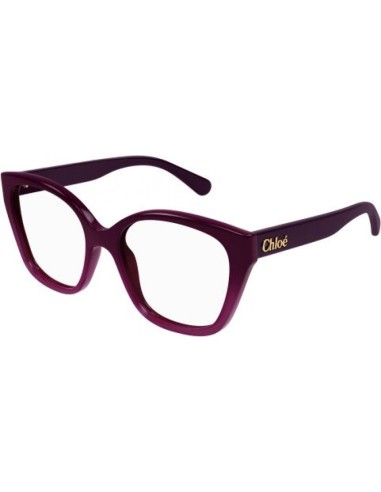 Chloe CH0241O Eyeglasses de technologie