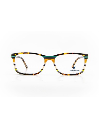 Charmossas Monte Alan Eyeglasses pas chere