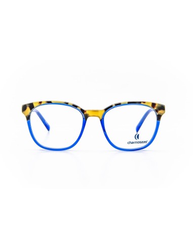 Charmossas Volcans Eyeglasses Les êtres humains sont 