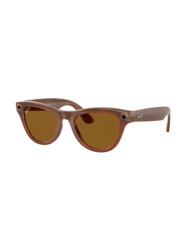 Ray-Ban Meta Skyler 4010 Sunglasses livraison et retour toujours gratuits