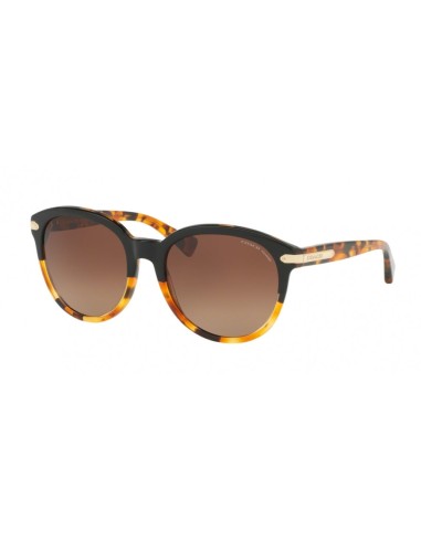 Coach L111 8140 Sunglasses En savoir plus