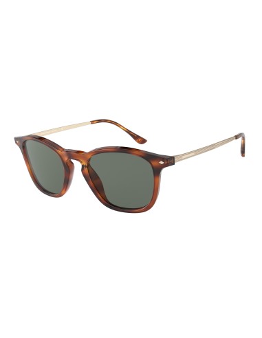 Giorgio Armani 8128F Sunglasses Les êtres humains sont 